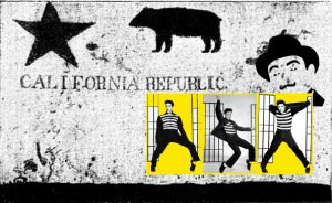 California Tax Fraud
